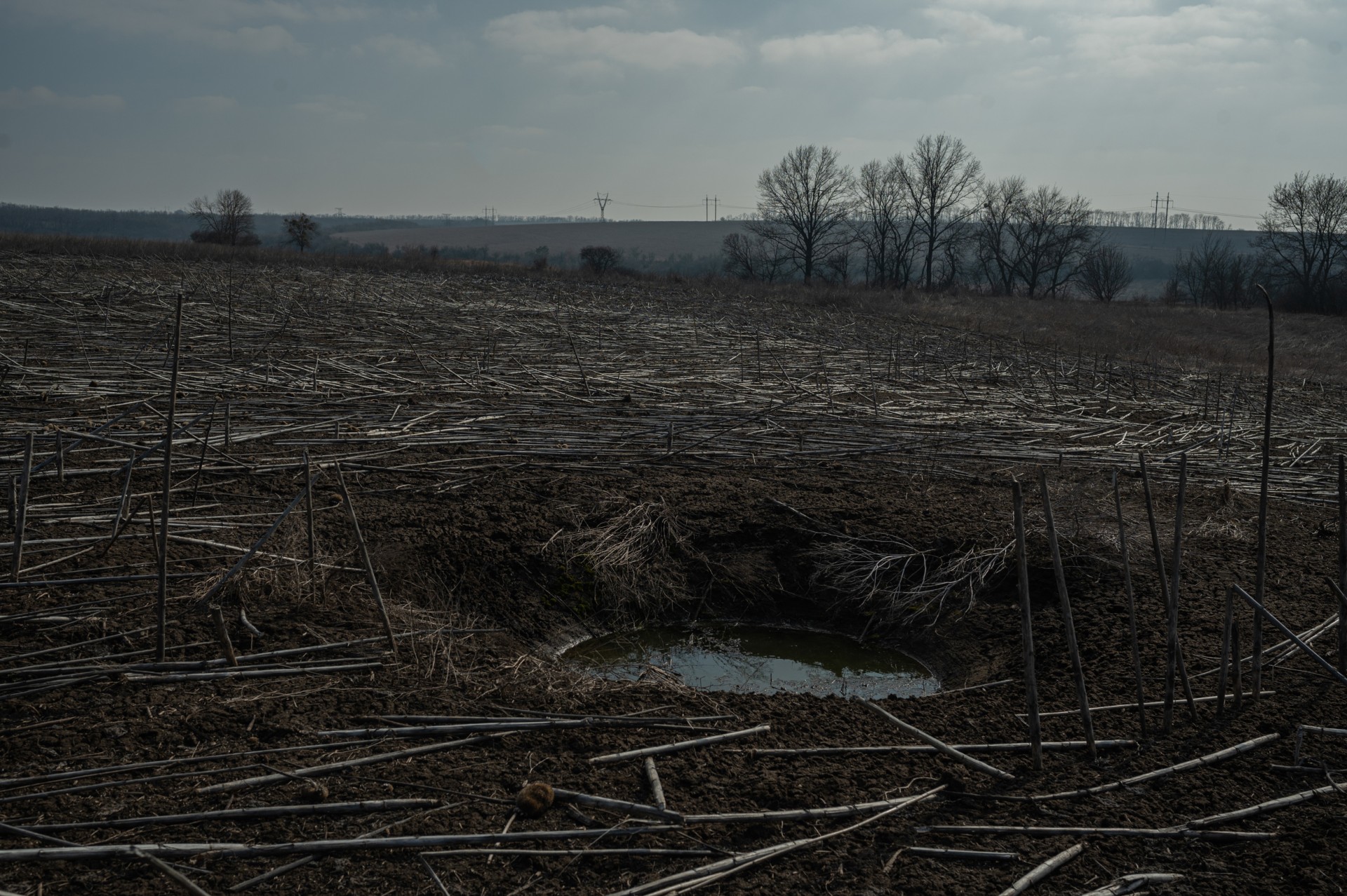 Sprogimo krateris Kornyičių išvalytame darbo lauke. ©Denis Vėjas