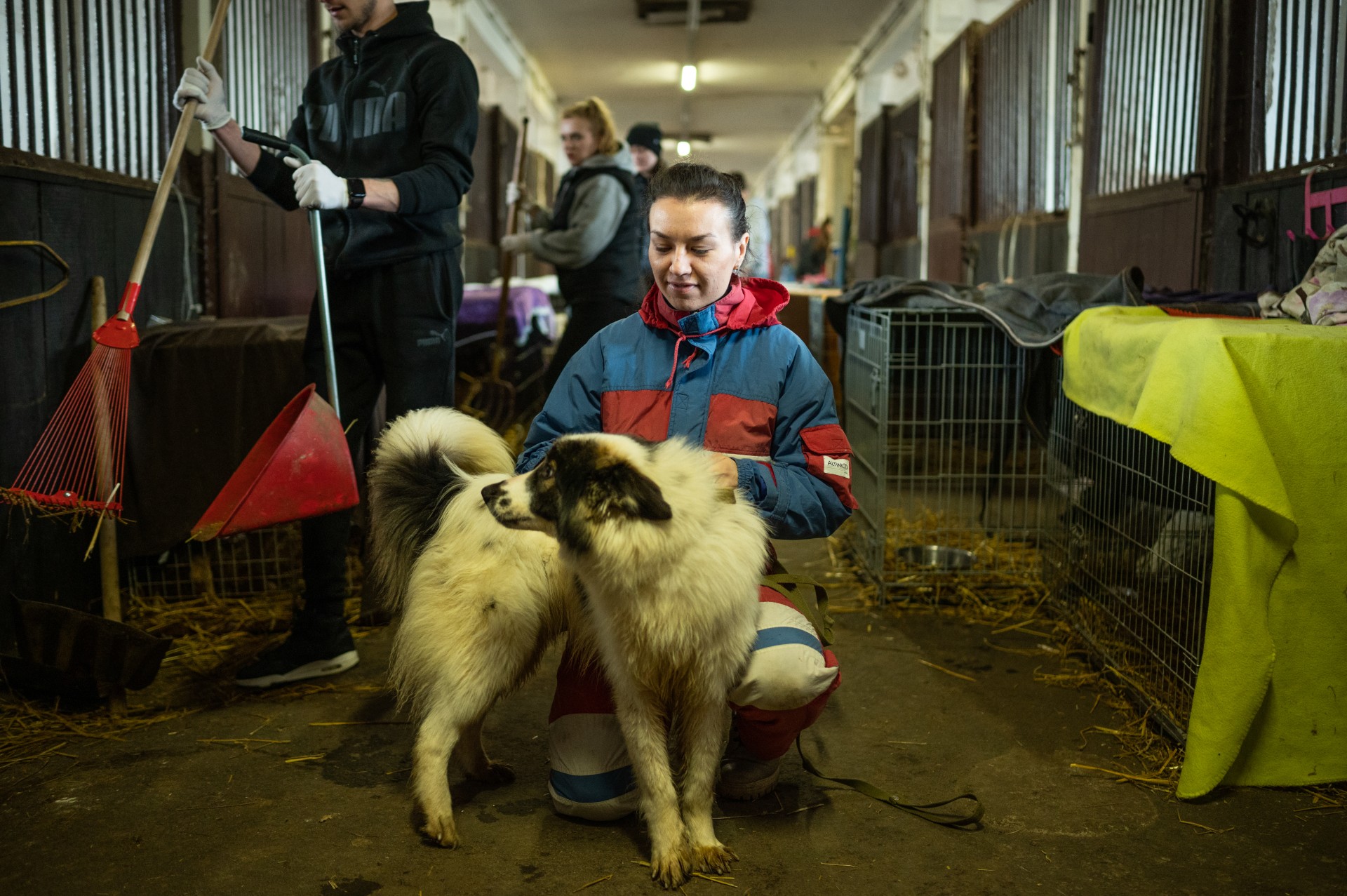 Gyvūnų savanorė Marina Budko su šunimi Elviu Kyjivo hipodrome.
