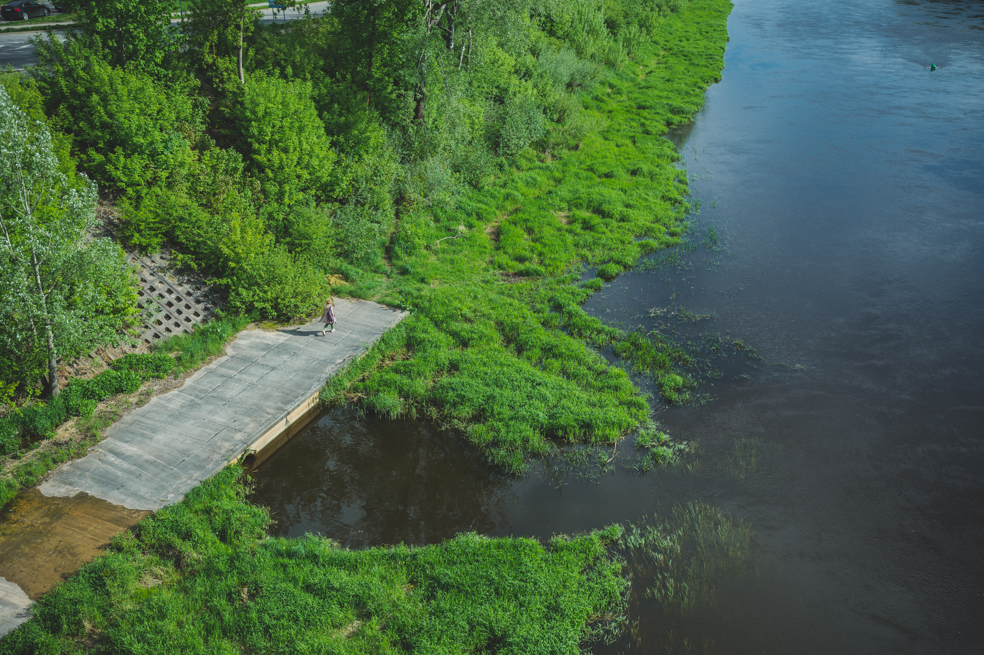 Prie Šilo tilto Antakalnyje. Žaliosios erdvės užima apie 57 proc. Vilniaus teritorijos – pagal šį rodiklį miestas patenka tarp Europos lyderių. ©Denis Vėjas