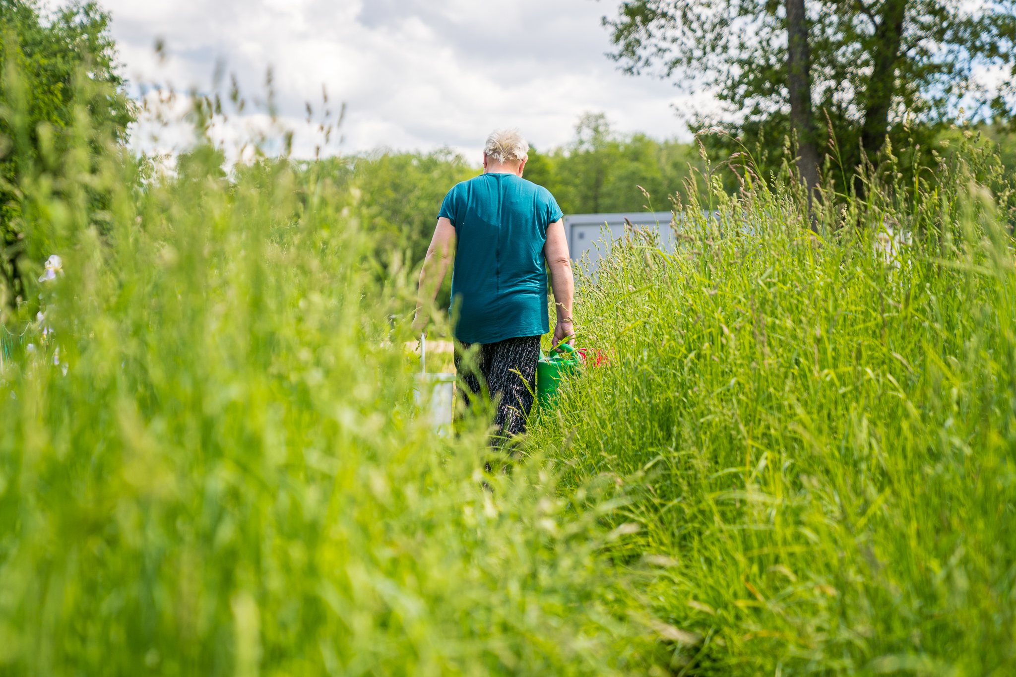 Ilgainiui dalis miesto daržų tapo ne tik maisto auginimo, bet ir poilsio, kaimynystės bei kasdienio gyvenimo erdvėmis. ©Ieva Ciesiūnaitė