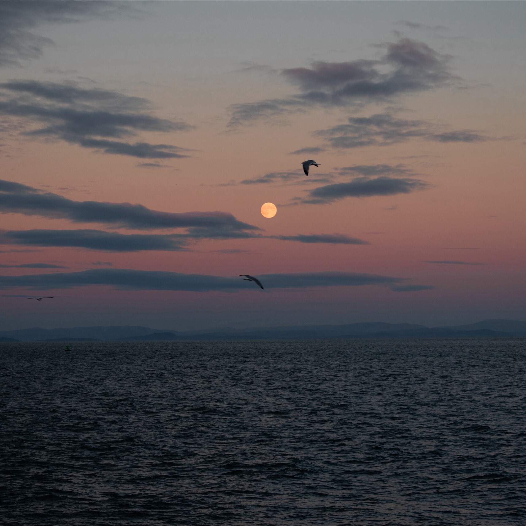 ©Domantas Jankauskas
